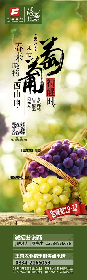 葡萄海报
