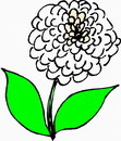 花朵鲜花_514eps,ai矢量模版下载
