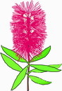 花朵鲜花_476eps,ai矢量模版下载