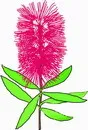 花朵鲜花_476eps,ai矢量模版下载