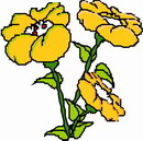 花朵鲜花_529eps,ai矢量模版下载