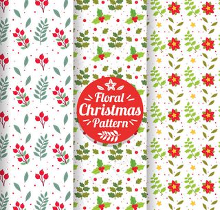 圣诞节花草背景