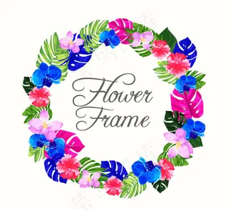 热带花草框架矢量