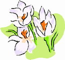 花朵鲜花_567eps,ai矢量模版下载