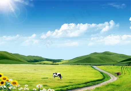 绿色草原 绿色草原