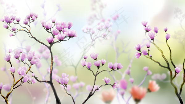 鲜花风景背景(6000X3375(DPI:300))psd模版下载