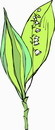 花朵鲜花_513eps,ai矢量模版下载