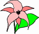花朵鲜花_899eps,ai矢量模版下载