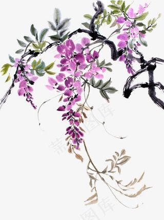 水墨紫藤花