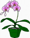 花朵鲜花_216eps,ai矢量模版下载