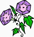 花朵鲜花_819eps,ai矢量模版下载