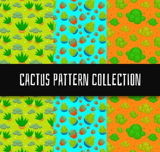 仙人掌无缝背景
