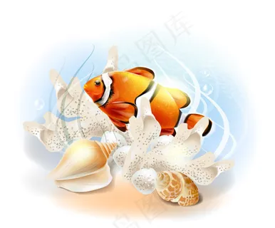 卡通海底小丑鱼