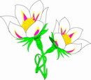 花朵鲜花_464eps,ai矢量模版下载