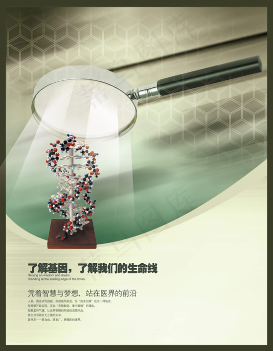 生命基因彩页(3424X4408(DPI:300))psd模版下载