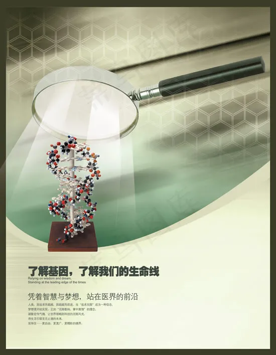 生命基因彩页