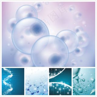 分子结构矢量