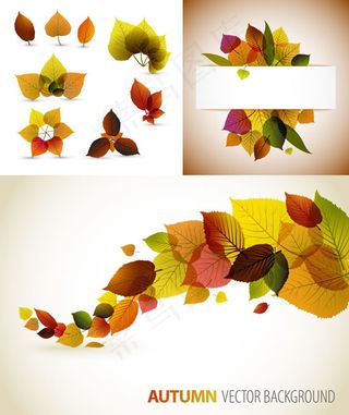 秋天树叶矢量