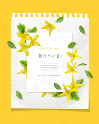 黄色春季花朵海报