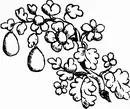 花朵鲜花_1075eps,ai矢量模版下载
