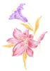 PSD精美花纹_70psd模版下载