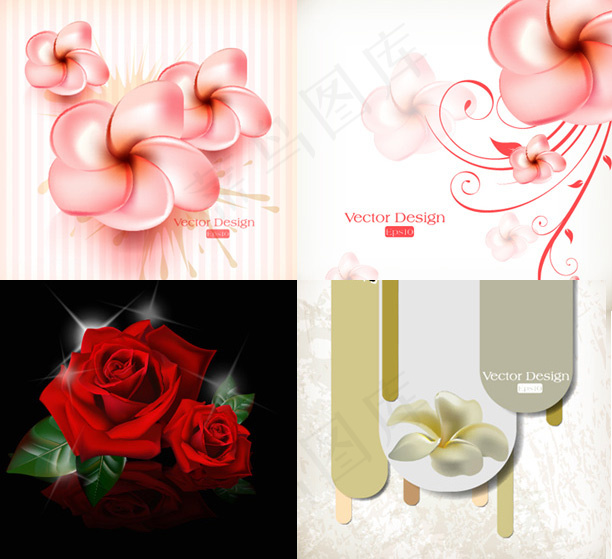 精美鲜花矢量