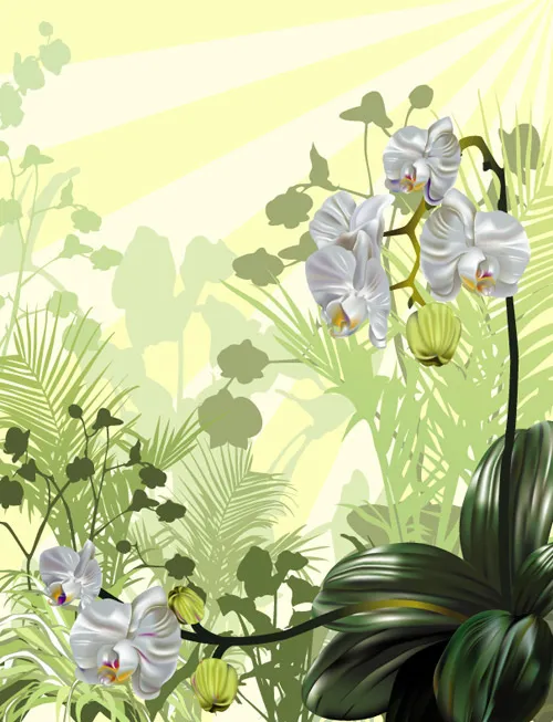 矢量兰花插画eps,ai矢量模版下载