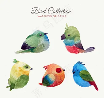 可爱水彩绘鸟类