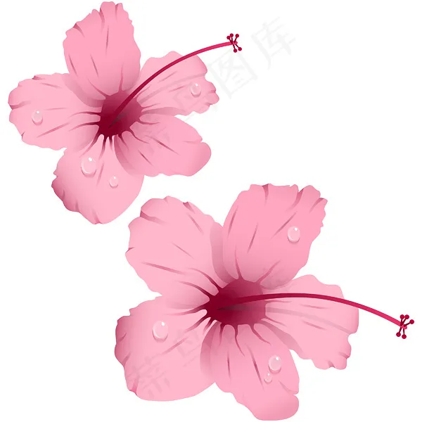 粉红色花朵eps,ai矢量模版下载