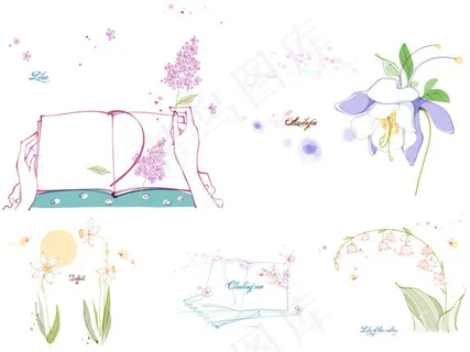 喇叭水仙花与月季