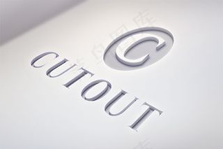 立体纹理logo样机