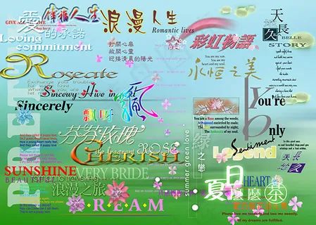 写真艺术字体 写真艺术字体