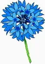 花朵鲜花_432eps,ai矢量模版下载