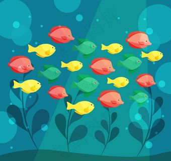 彩色海底鱼群