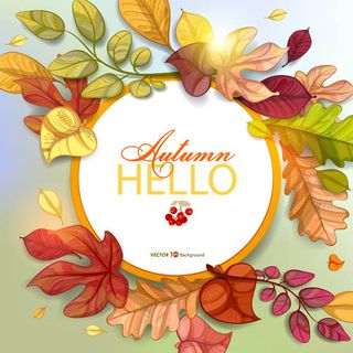 树叶组合边框背景