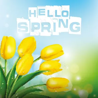 郁金香花朵背景