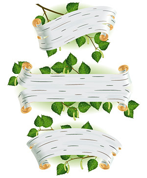 树叶、树枝与bann