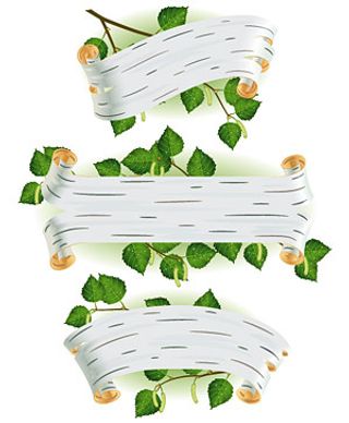 树叶、树枝与bann