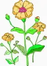 花朵鲜花_197eps,ai矢量模版下载