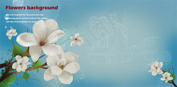 白色花卉背景(7087X3508(DPI:300))psd模版下载
