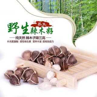 野生辣木籽海报