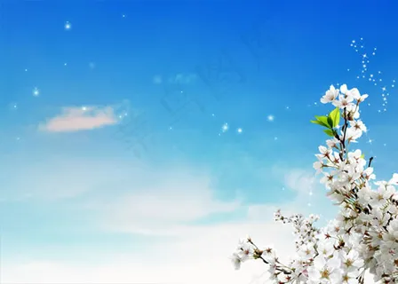 盛开桃花PSD 盛开桃花PSD