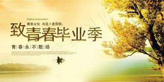 致青春毕业季海报
