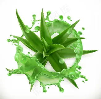飞溅的芦荟汁