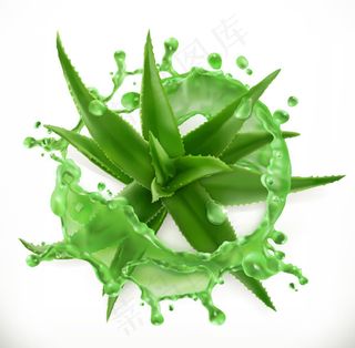 飞溅的芦荟汁