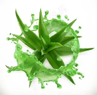 飞溅的芦荟汁