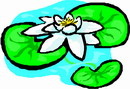 花朵鲜花_484eps,ai矢量模版下载