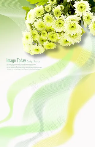 菊花花束与线条