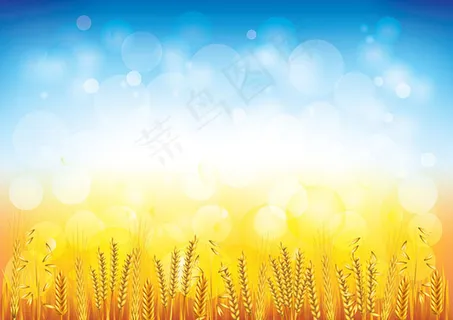 麦子背景矢量