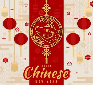 猪头和灯笼贺卡